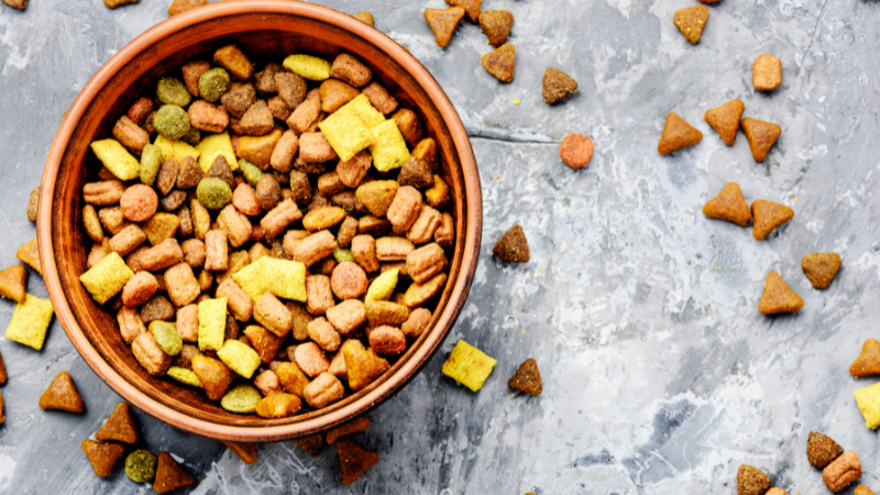 How To Avoid A Diet Of Cat Food In Retirement