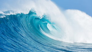 Take The Easy Path And Catch That Wave